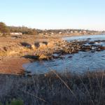 cambriaDR_0258 (November 02, 2019)